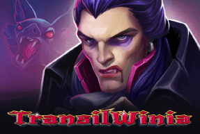 CTInteractive | TransilWinia