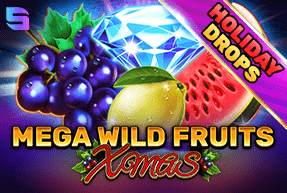 Spinomenal2 | Mega Wild Fruits - Xmas