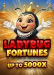 Dragongaming | Ladybug Fortunes