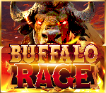 Funky Games | Buffalo Rage