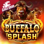Funky Games | Buffalo Splash
