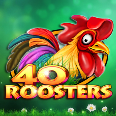 CT- Interactive | 40 Roosters