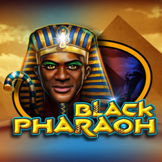 CT- Interactive | Black Pharaoh
