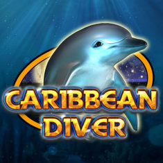 CT- Interactive | Caribbean Diver