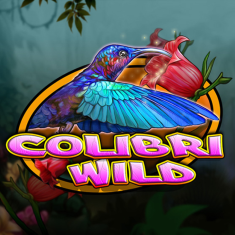 CT- Interactive | Colibri Wild