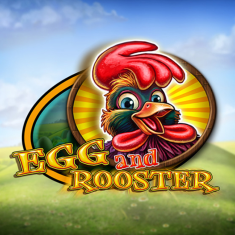 CT- Interactive | Egg and Rooster