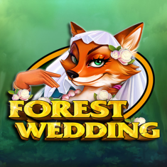 CT- Interactive | Forest Wedding