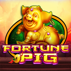 CT- Interactive | FORTUNE PIG