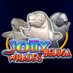 CT- Interactive | Jolly Beluga Whales