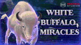 Boldplay | White Buffalo Miracles