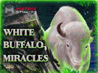 Boldplay | White Buffalo Miracles Scratch