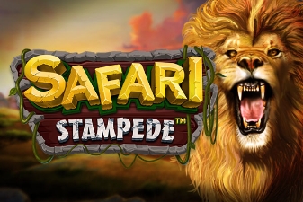 Dragongaming | Safari Stampede