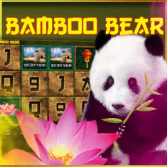Mascot Gaming | Bamboo Bear