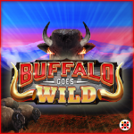Mancala Gaming | Buffalo Goes Wild