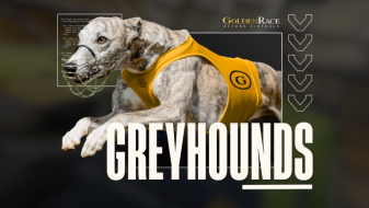 Golden Race | Dog 6 On Demand