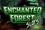 Urgent Games | Enchanted Forest