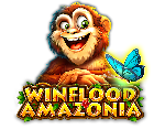 CT- Interactive | Winflood Amazonia