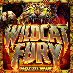 Rival | Wildcat Fury