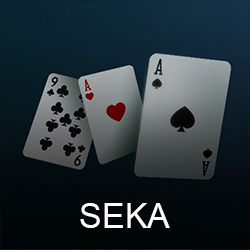 BetSolutions | Seka
