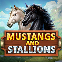 Booming | Mustang and Stallions