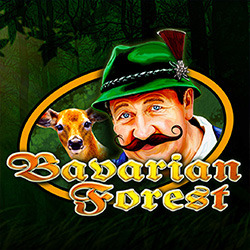 CT- Interactive | Bavarian Forest