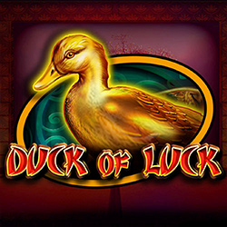 CT- Interactive | Duck Of Luck