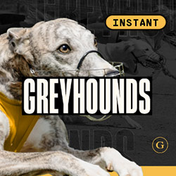 Golden Race | Dog 6 H.Odds Instant