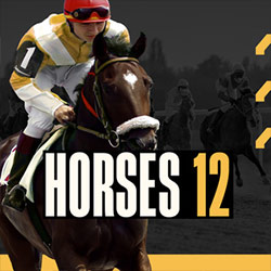 Golden Race | Horses 12 Flat