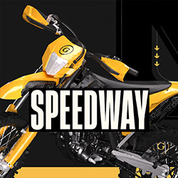 Golden Race | Speedway