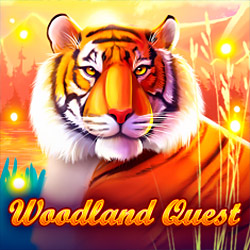 Inbet Games | Woodland Quest