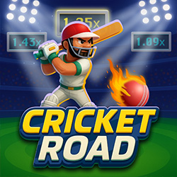 InOut Games | Cricket Road