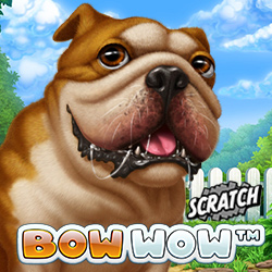 Boldplay | Bow Wow Scratch