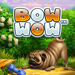 Boldplay | Bow Wow