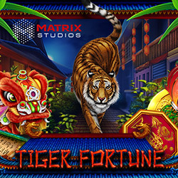 Boldplay | Tiger Fortune