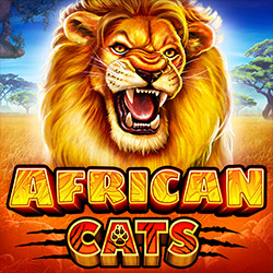 Ruby Play | African Cats