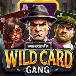 Bgaming | Wild Card Gang