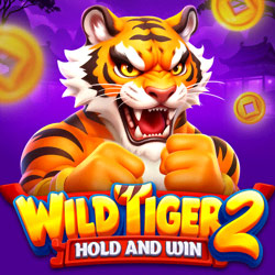 Bgaming | Wild Tiger 2