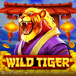 Bgaming | Wild Tiger