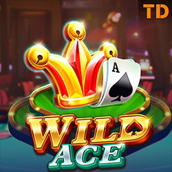 TaDa Gaming | Wild Ace