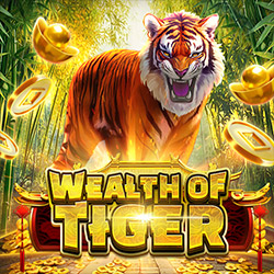 TPG | Wealth of Tiger