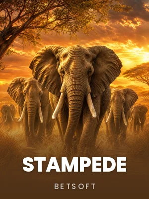BetSoft | Stampede