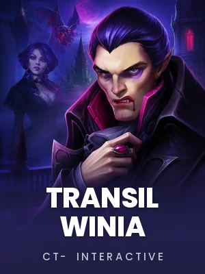 CT- Interactive | Transil Winia