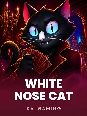 KA Gaming | White Nose Cat