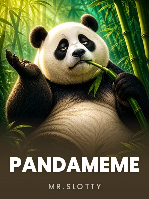 Mr.Slotty | PandaMEME