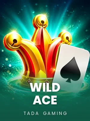 TaDa Gaming | Wild Ace